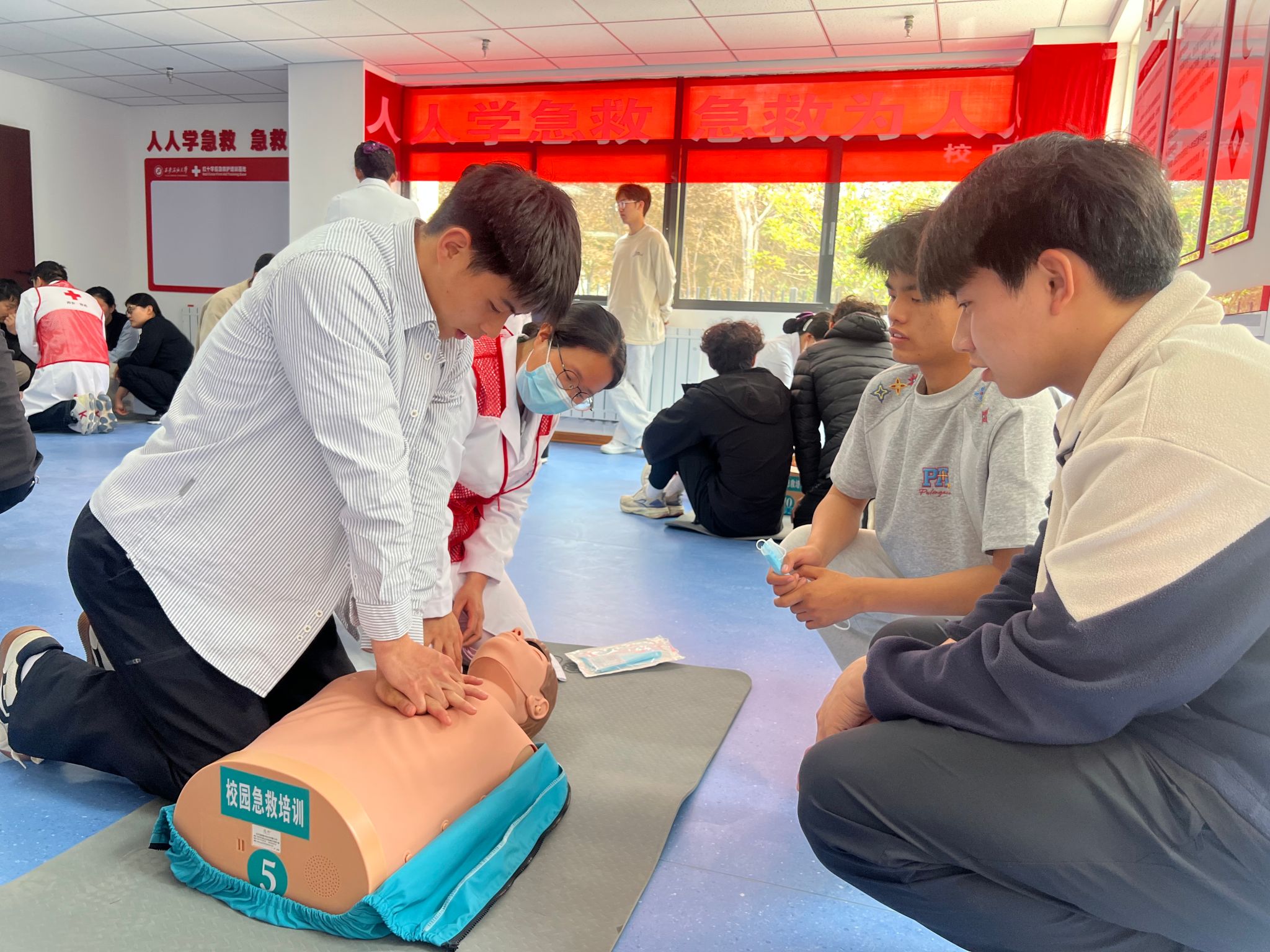 6afcb55c8e331054317b9ae8b015d034